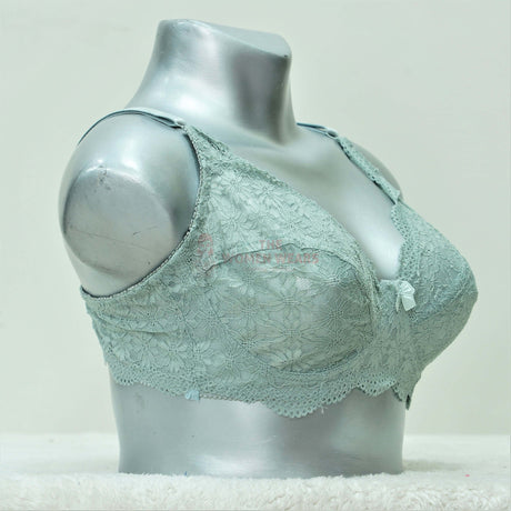 "Luxury Silky Smooth Push-Up Bra – Satin Finish, Padded & Wired for Perfect Lift"